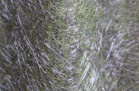 Eastend fibreglass roof work